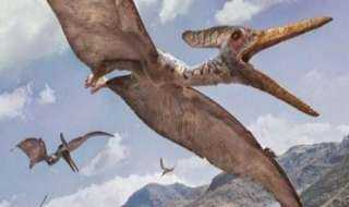 اكتشاف 3 أنواع جديدة من الديناصورات الطائرة في المغرب
