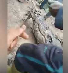 بالفيديو..  لحظة انتقام قرويين من تمساح التهم صديقهم