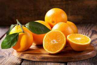أحمد العطار: البرتقال يحتل المركز الأول فى الصادرات بمليون و387 ألف طن