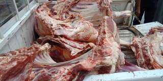 بالصور.. ضبط جزار بحوزتة ختم مزور لختم اللحوم خارج السلخانة في كفر الشيخ