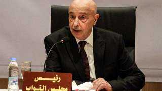 مستشار عقيلة صالح: هناك تنسيق كامل بين البرلمان الليبي والجيش بشأن وقف إطلاق النار