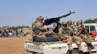 الجيش المالي يعلن عن مقتل 20 مسلحا في عملية عسكرية قرب الحدود الموريتانية