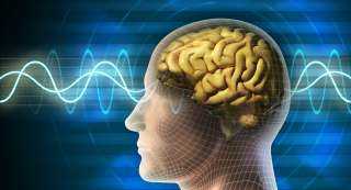  ”تعالج الأمراض”.. رقيقة إلكترونية تصل الدماغ بالحاسوب تشكل ثورة في عالم الطب
