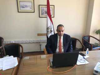 مساعد وزير الخارجية للشئون الأوروبية يلقي كلمة مصر أمام الاجتماع الافتراضي الدولي حول ”يوم أفريقيا”