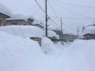 اليابان: غزارة الثلوج تتسبب بوفاة 8 أشخاص وإصابة 226 آخرين