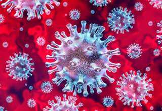 العلماء يحددون ”الشرطي المناعي” المكتشف لفيروس SARS-CoV-2
