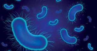 البكتيريا القاتلة قد تشارك مقاومة المضادات الحيوية بشكل أسرع مما نظن