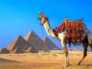 رئيس لجنة السياحة والطيران: مصر الوجهة الأولى عربيا لجذب الاستثمار الأجنبي المباشر بقيمة 13.7 مليار دولار