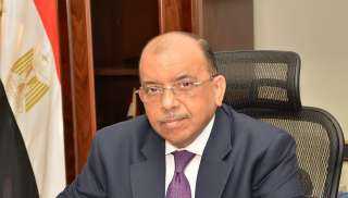 وزير التنمية المحلية : حريصون على إعداد وتقديم ملف يليق بالدولة المصرية ويتميز بالدقة والاحترافية