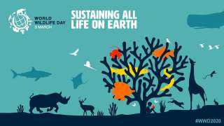 اليوم.. احتفال العالم بـ”اليوم العالمي للحياة البرية”