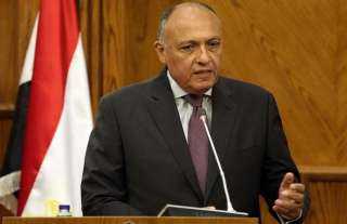 وزير الخارجية: مصر ستتحرك إذا لحق بها أى ضرر مائى بسبب سد النهضة