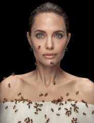 بالفيديو.. سرب من النحل يغطي جسد أنجلينا جولي