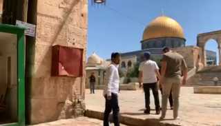 بالفيديو.. مستوطنون إسرائيليون يتقدمهم وزير يقومون بجولة ”استفزازية” في ”الأقصى”