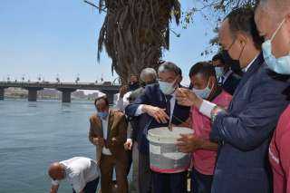 محافظ المنيا يشهد إلقاء مليون زريعة سمك بنهر النيل بمشاركة متدربي البرنامج الرئاسي
