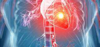 دراسة جديدة تكشف السر وراء منع الإصابة بالسرطان وأمراض القلب