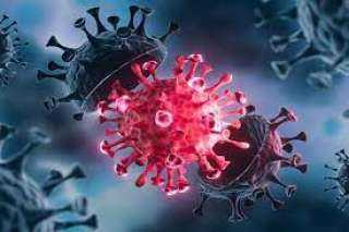 عالم أوبئة: سلالة ”دلتا” أكثر الفيروسات المعدية في التاريخ الحديث 