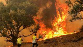 الجزائر.. إخماد كافة الحرائق التي عصفت بشمال البلاد لأكثر من أسبوع 