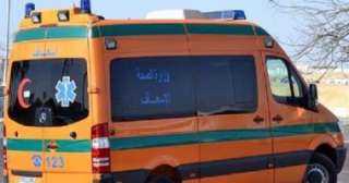 إصابة 3 أشخاص في اصطدام موتوسيكل بعمود إنارة بكفر الشيخ