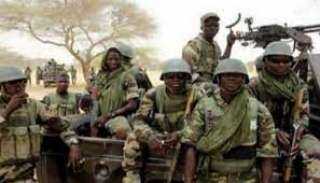 مقتل 16 جنديا من النيجر في هجوم لمسلحي ”بوكو حرام”