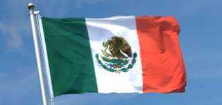 المكسيك.. مصرع 5 عمال بناء بسقوط رافعة 