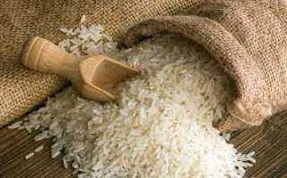 غرفة الحبوب: إجراء مناقصة جديد لتوريد الأرز الأبيض لوزارة التموين