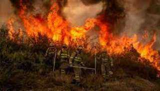 لليوم الخامس.. حريق غابات باسبانيا يستمر والسلطات تجلي المزيد من السكان (فيديو) 