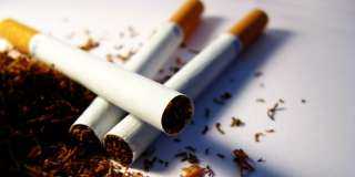 شعبة الدخان: المصريون يستهلكون 80 مليار سيجارة سنويا