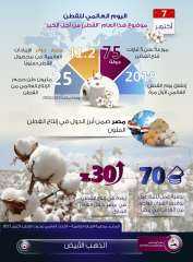 انفوجراف| ”معلومات الوزراء”: مصر حققت زيادة فى إنتاجها من القطن بنسبة 30% العام الجارى 