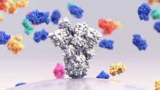 العلماء يكتشفون جسما مضادا قويا للغاية ضد SARS-CoV-2