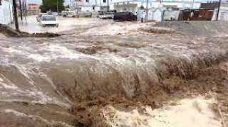الري: السدود حجزت 6 ملايين متر مكعب من مياه السيول في شلاتين ومنعت كارثة