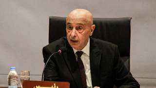 رئيس البرلمان الليبي عقيلة صالح يعلن ترشحه لانتخابات الرئاسة