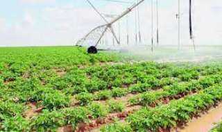 ”الزراعة” تضع روشتة حماية المحاصيل بعد التقلبات الجوية