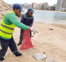 ياسمين فؤاد : إنتهاء إجراءات الدفن الآمن لعبوات اللحوم الفاسدة الموجودة بعدد من شواطئ الإسكندرية