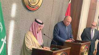 وزير الخارجية السعودي: تجمعنا مع مصر علاقات قوية وراسخة