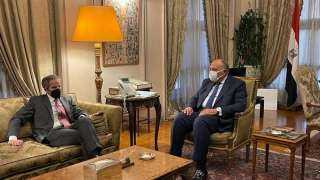 وزير الخارجية يبحث مع جروسى سبل التعاون بين مصر والوكالة الدولية للطاقة الذرية