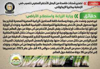 الحكومة تنفى تصدير شحنات فاسدة من البصل الأخضر المصري تتسبب في الإصابة ببكتريا الإيكولاي