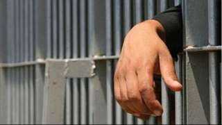 الجنايات تقضي بالمشدد 15 سنة لـ 8 متهمين لسرقتهم الماشية في بورسعيد