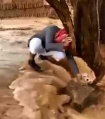 بالفيديو.. في مشهد إنساني لافت.. مواطن سعودي ينقذ كلبا من الغرق بالسيول