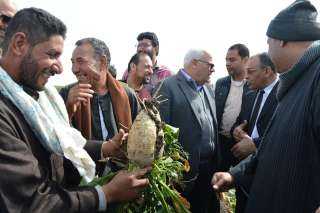 محافظ بورسعيد يشهد حصاد ”بنجر السكر” بسهل الطينة