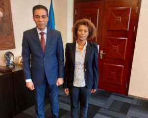 السفير المصري لدى غينيا الاستوائية يلتقي مديرة الهيئة العامة لإدارة وتنفيذ المشروعات الحكومية الغيني