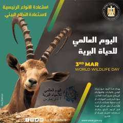 مصر تشارك العالم الاحتفال باليوم العالمى للحياة البرية على مواقع التواصل الاجتماعى