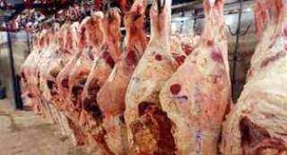 لمحاربة الغلاء.. رئيس سفاجا يطلق مبادرة لبيع اللحوم بـ 125جنيها للكيلو