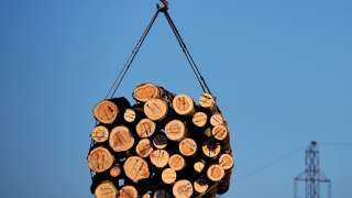 وزارة الصناعة والتجارة الروسية تدعو لحظر تصدير الأخشاب إلى الدول المعادية