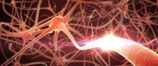 اكتشاف أنزيم يسهم في إصلاح تلف الأعصاب