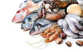 أسعار الأسماك والمأكولات البحرية اليوم الأحد للمستهلك