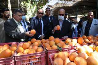 محافظ القاهرة يتفقد سوق ساحل أثر النبى للغلال والخضروات والفاكهة