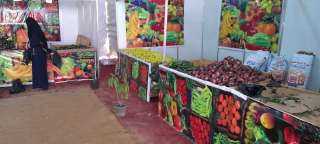 محافظة الجيزة .. ٣ منافذ جديدة لبيع الخضراوات والفاكهة بأسعار مخفضة ببولاق والطالبية والصف