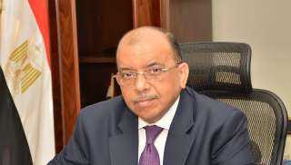 شعراوي: تعميم تجربة مجمع المصالح الحكومية بالوادي الجديد في جميع المحافظات
