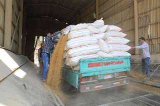 محافظ المنوفية : ضبط تجار غلال يقومون بتجميع محصول القمح من المزارعين بصورة غير قانونية