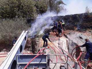 محافظ أسوان : السيطرة على حريق محدود بإحدى الزراعات الخاصة خارج نطاق الجزر النيلية